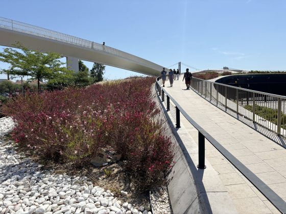 A white stone tile pedestrian bridge with pink flowering shrubs alongside it. 